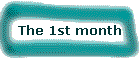 The 1st month